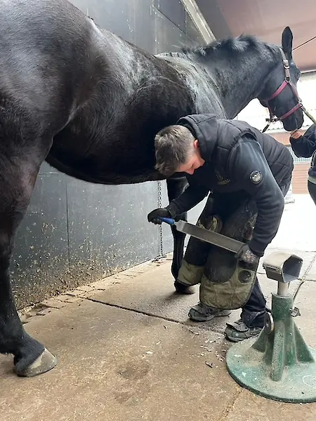 Bild in der Bildergallerie zu 100% HUF - Huftechnik aus Mügeln