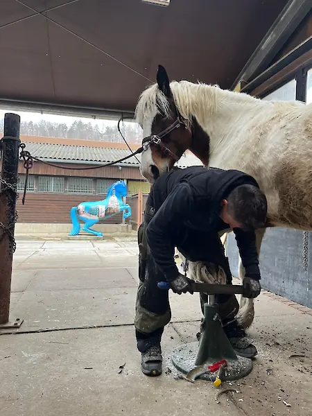 Bild in der Bildergallerie zu 100% HUF - Huftechnik aus Mügeln