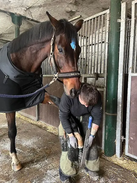 Bild in der Bildergallerie zu 100% HUF - Huftechnik aus Mügeln