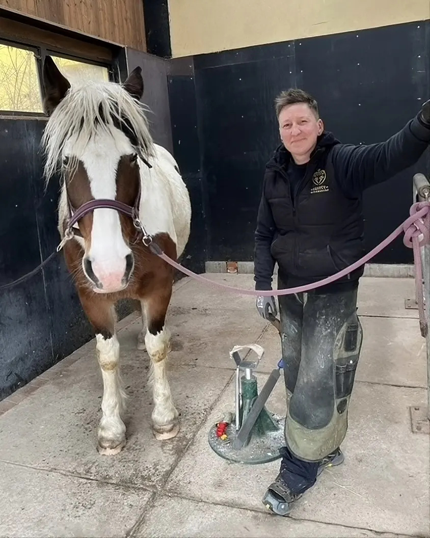 Bild zu den Informationen zu 100% HUF